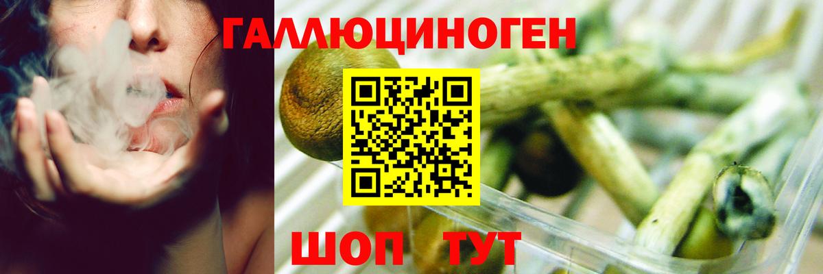 Галлюциногенные грибы MAGIC MUSHROOMS  Псилоцибиновые грибы GOLDEN TEACHER  Ревда  Вход с VPN 